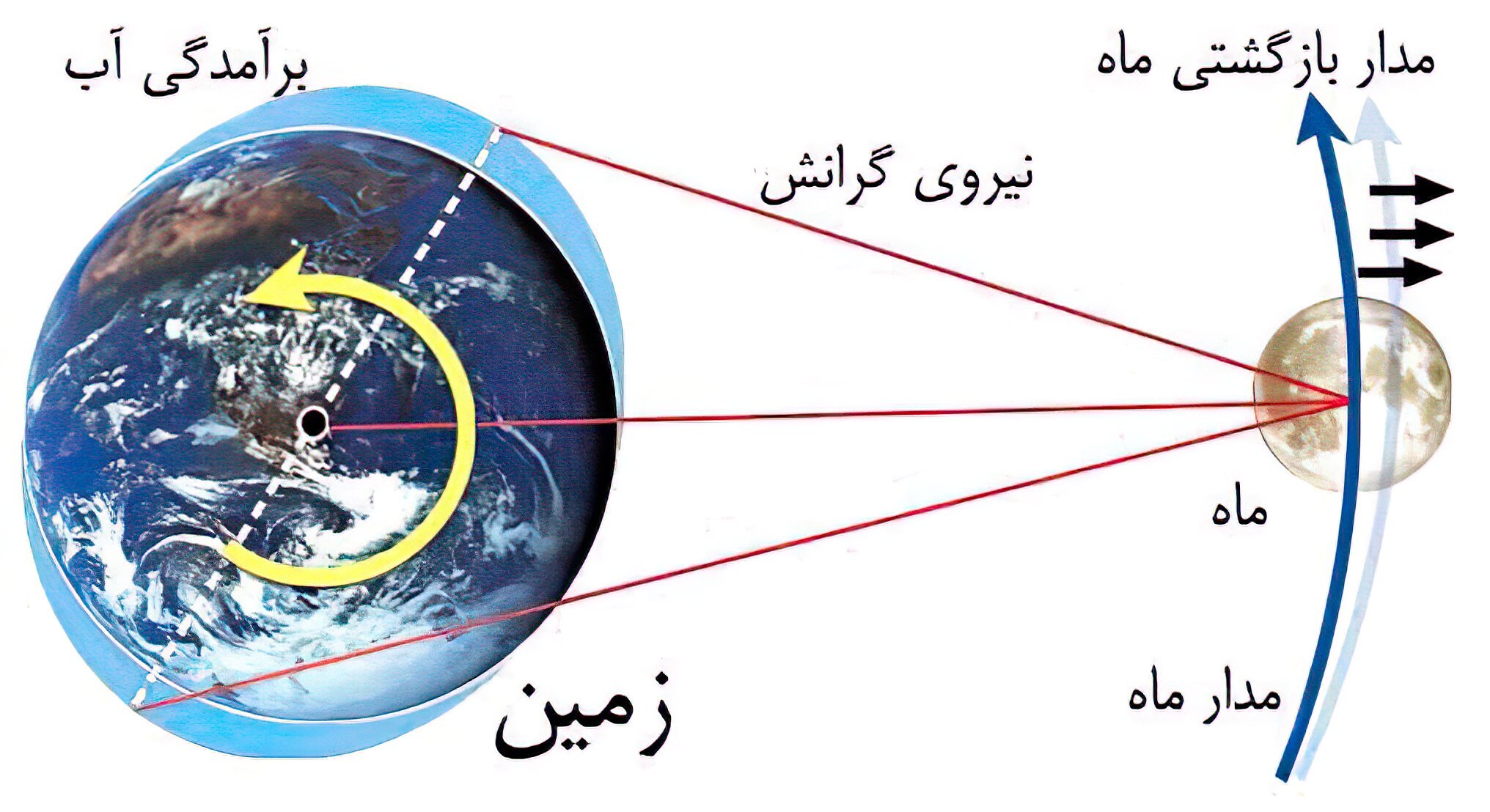  اگر ماه نبود چه بر سر زمین می‌آمد؟