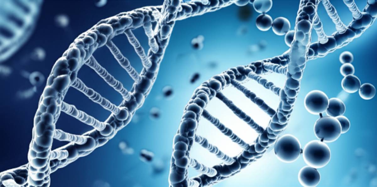 خلاصه کتاب ساختار DNA و همانندسازی | آمادگی آزمون دکتری