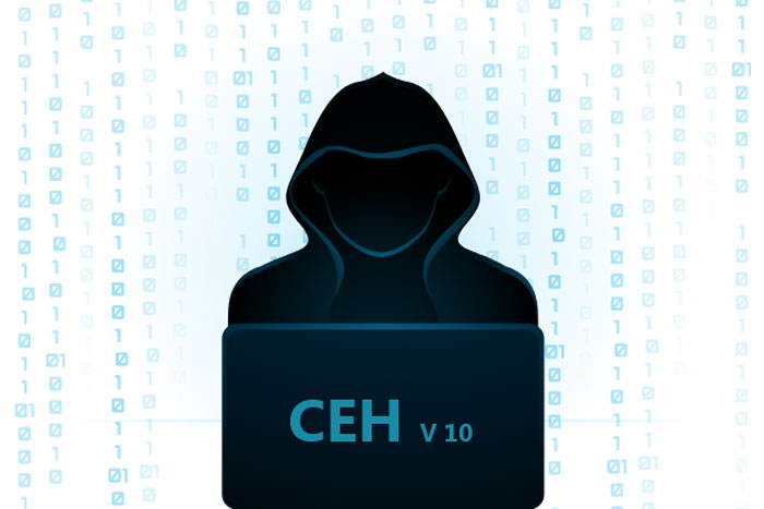 دوره CEH آنلاین | امنیت شبکه و مهارت های عملی هک قانونی