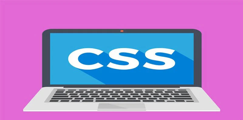 چگونه با CSS ظاهر یک سایت را تغییر دهیم؟